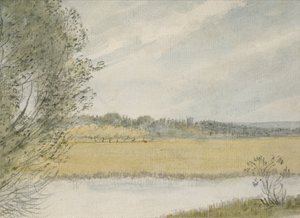 Christ Church Meadows (ألوان مائية فوق الجرافيت ، على الورق)